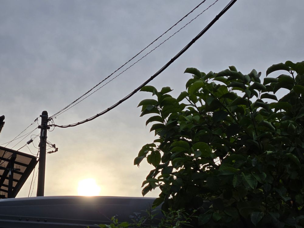 窓を開ければ握手出来る程の距離の 隣家越しの朝日です　日出る位置が 夏場の北側から南側になりました　これから寒くなります