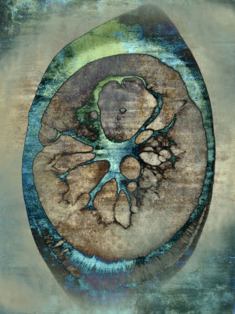 untitled abstract photography by Dirk Friese 