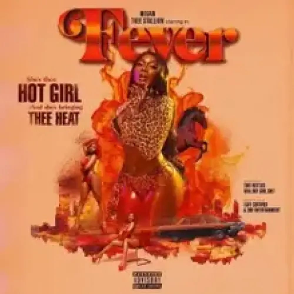 Cash Shit - Megan Thee Stallion