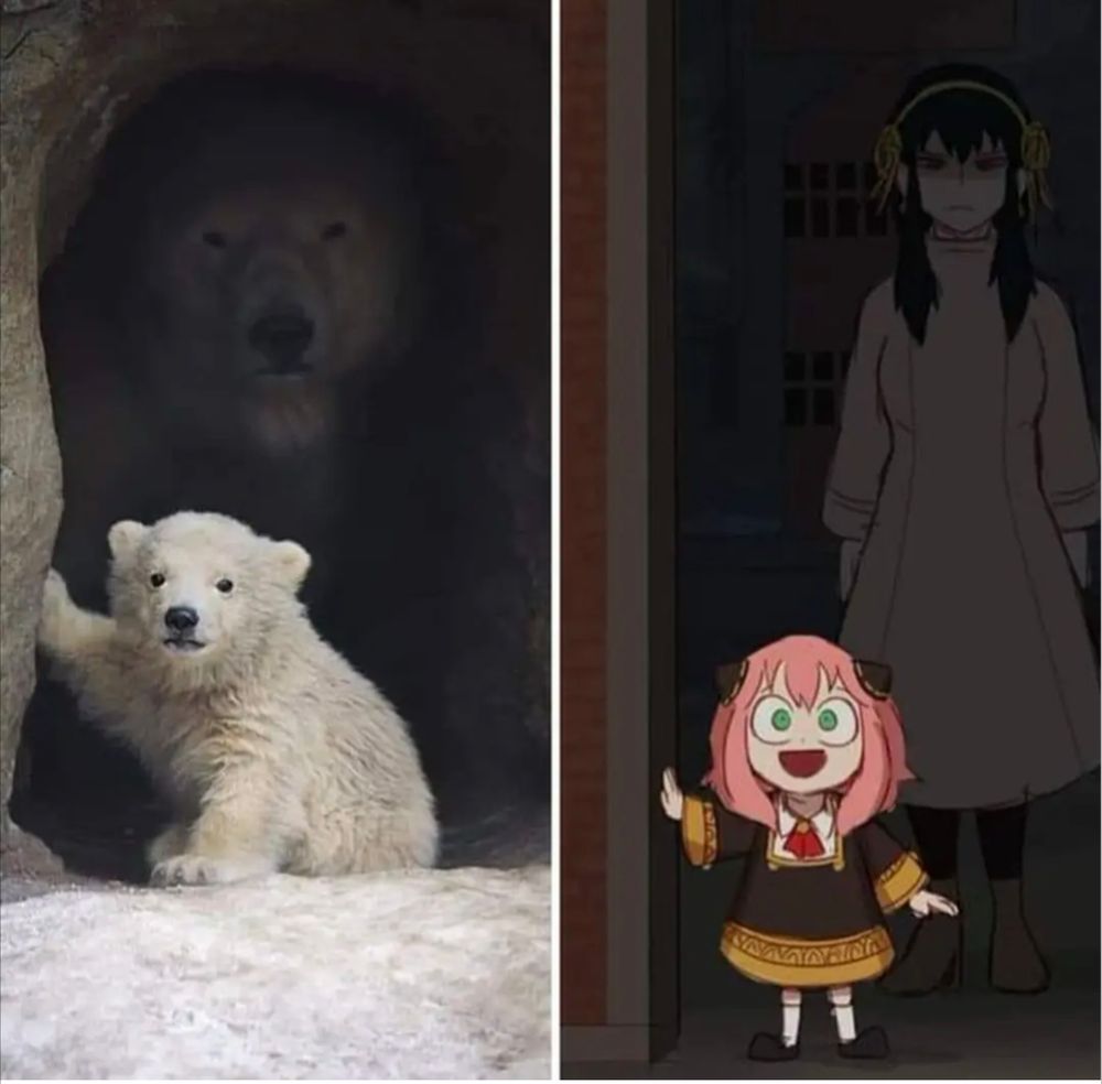 Meme displaying parent polar bear watching over baby polar bear paired with similar set up for Anya and Yor from Spy x Family.