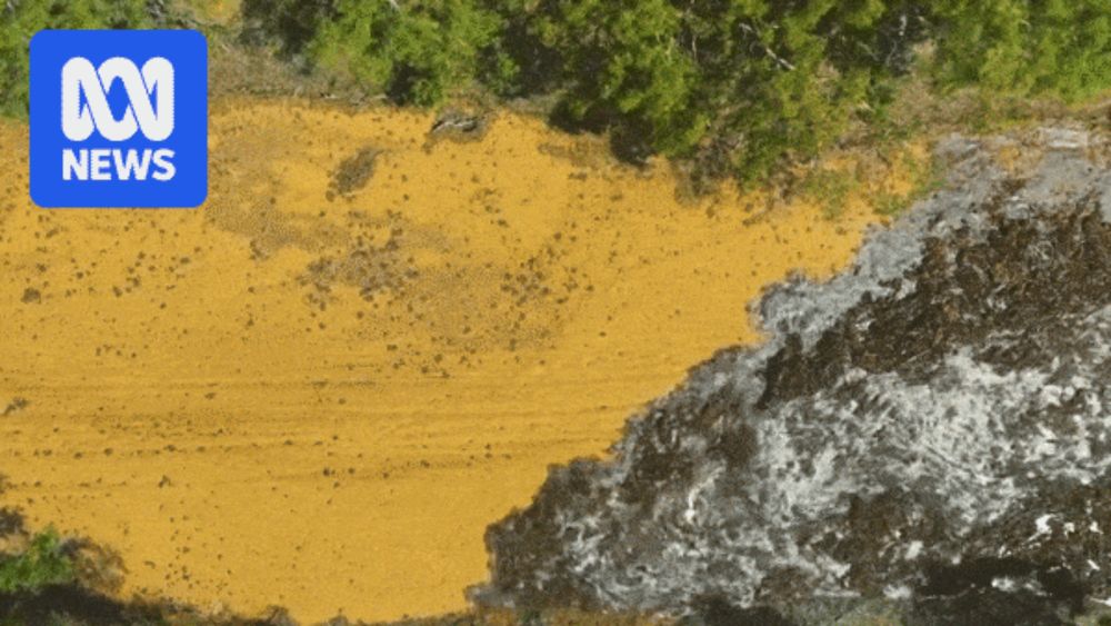 After weeks of relentless rain, this once-dry riverbed begins to brim with life-giving water