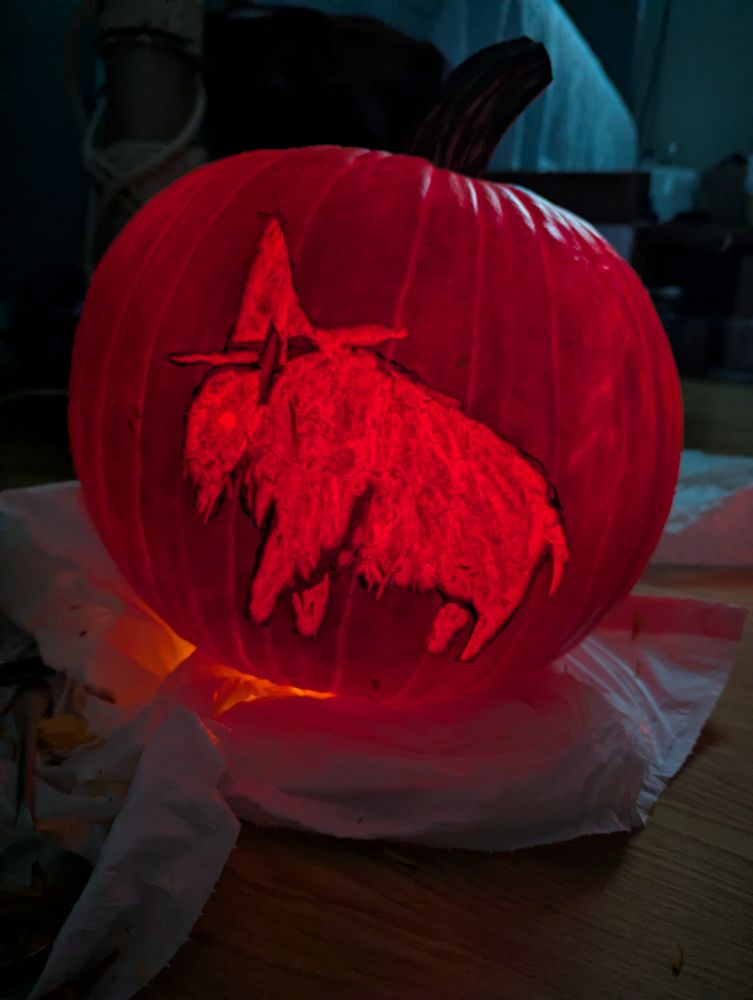 A pumpkin with an image of a bison wearing a witch's hat.