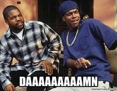 The "Damn!" scene from Friday with Ice Cube and Chris Tucker. Used to emphasize an exceptionally timely clapback.