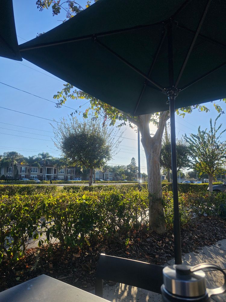 Picture from Cafe patio showing trees, bushes, and a blue sky
