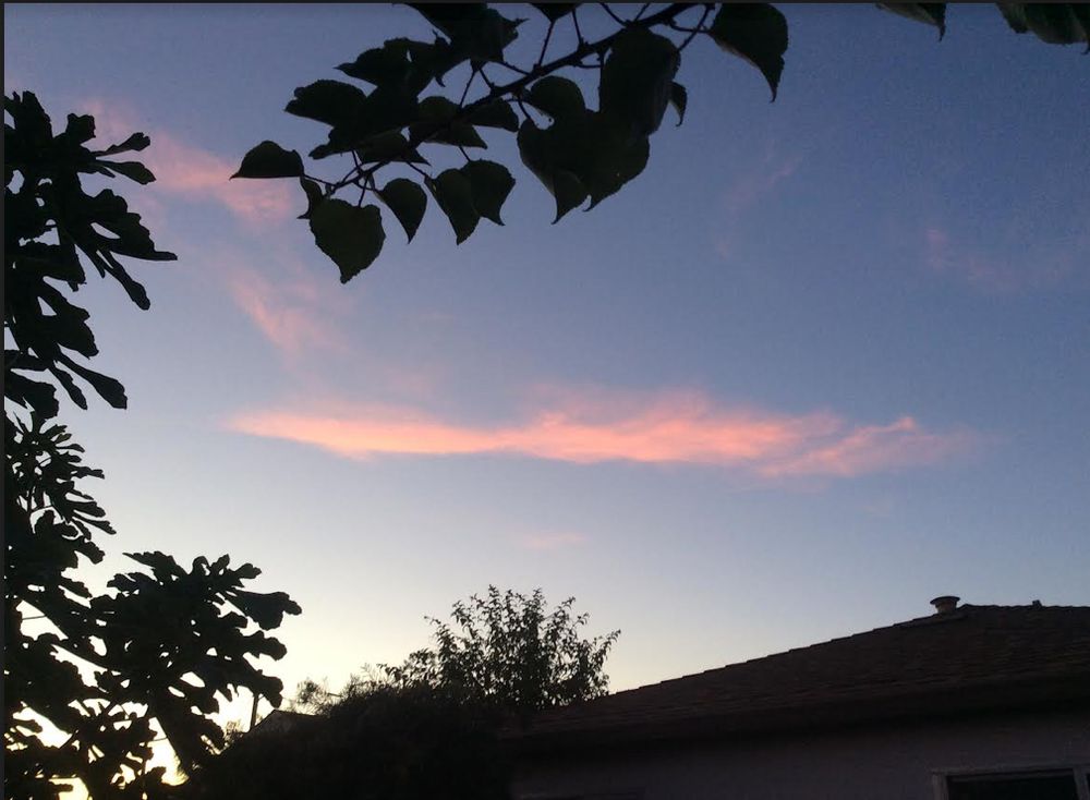 red cloud framed by trees