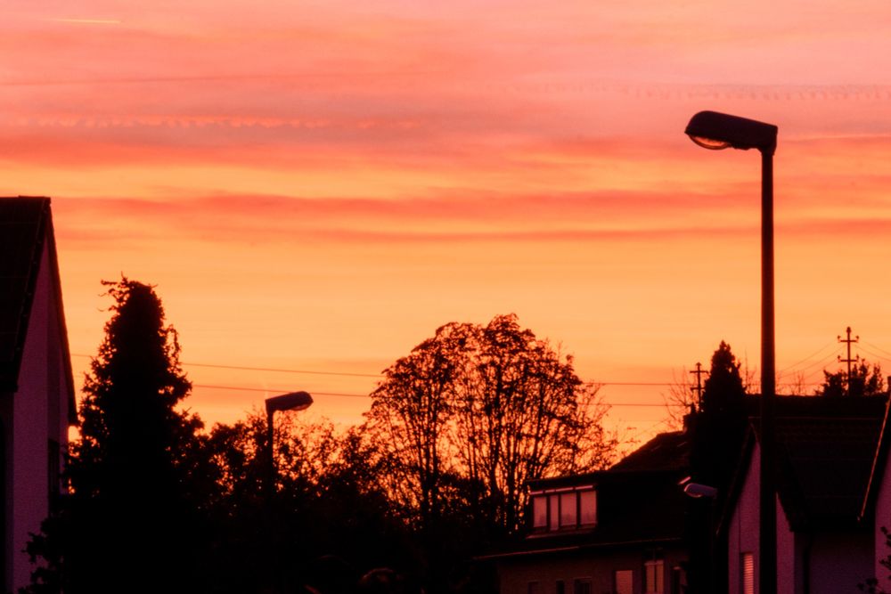 Orangefarbiger Sonnenaufgangshimmel mit Straßenlampen im Vordergrund. 