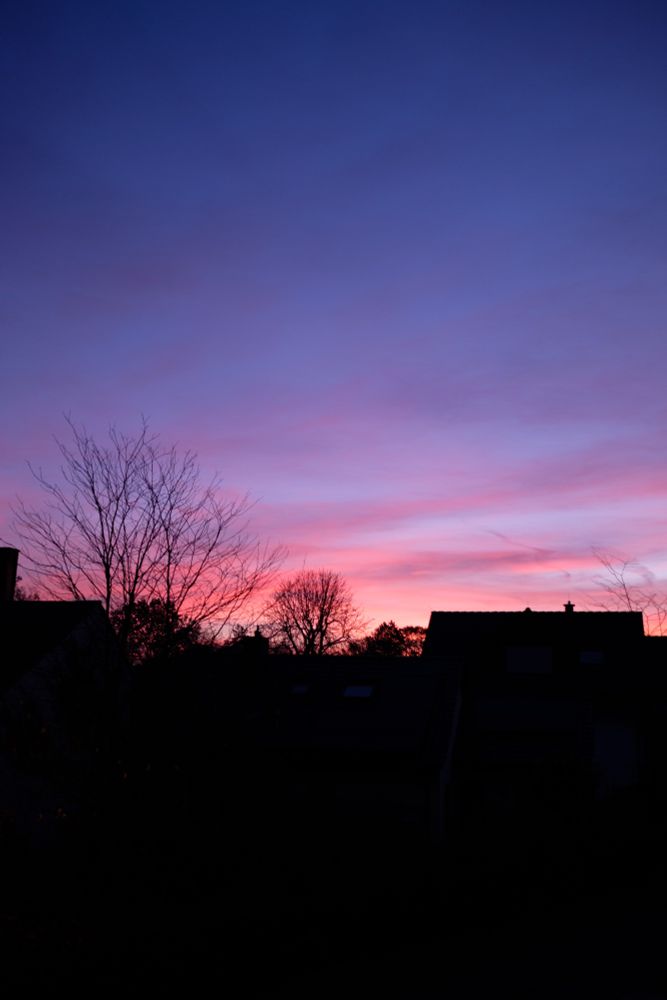 Rot-blauer Sonnenaufgang. Der Himmel am Horizont leuchtet orange. Die Laubbäume im Vordergrund sind inzwischen blattlos und zeichnen sich vorm Horizont nur als Silhouette, genau wie die umliegenden Häuser ab.