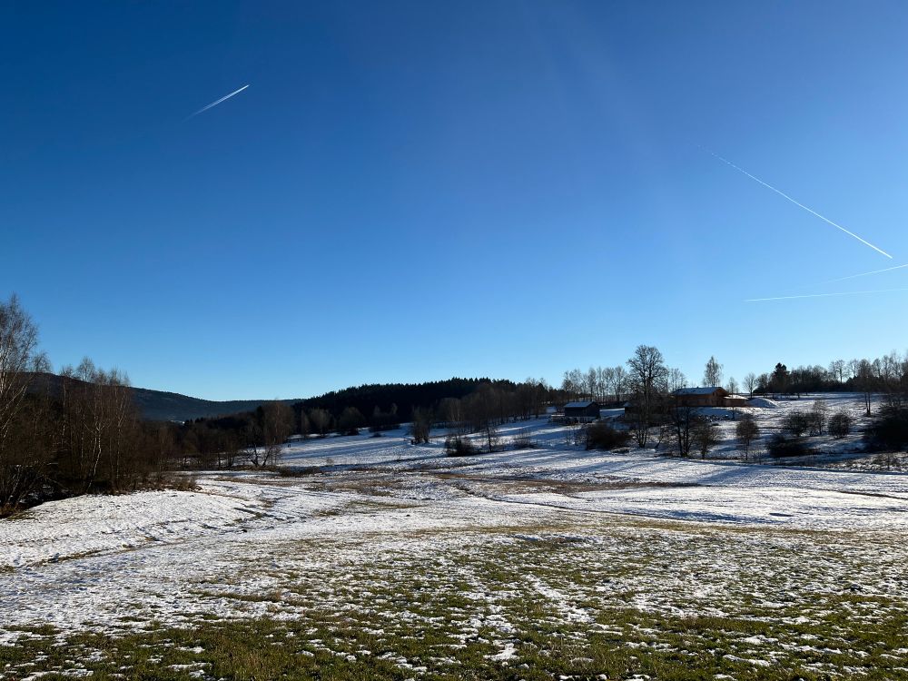 Der Blick über eine Wieso Richtung Wald, es liegt ein kleines bisschen Schnee, die Sonne strahlt vom wolkenlosen Himmel! 