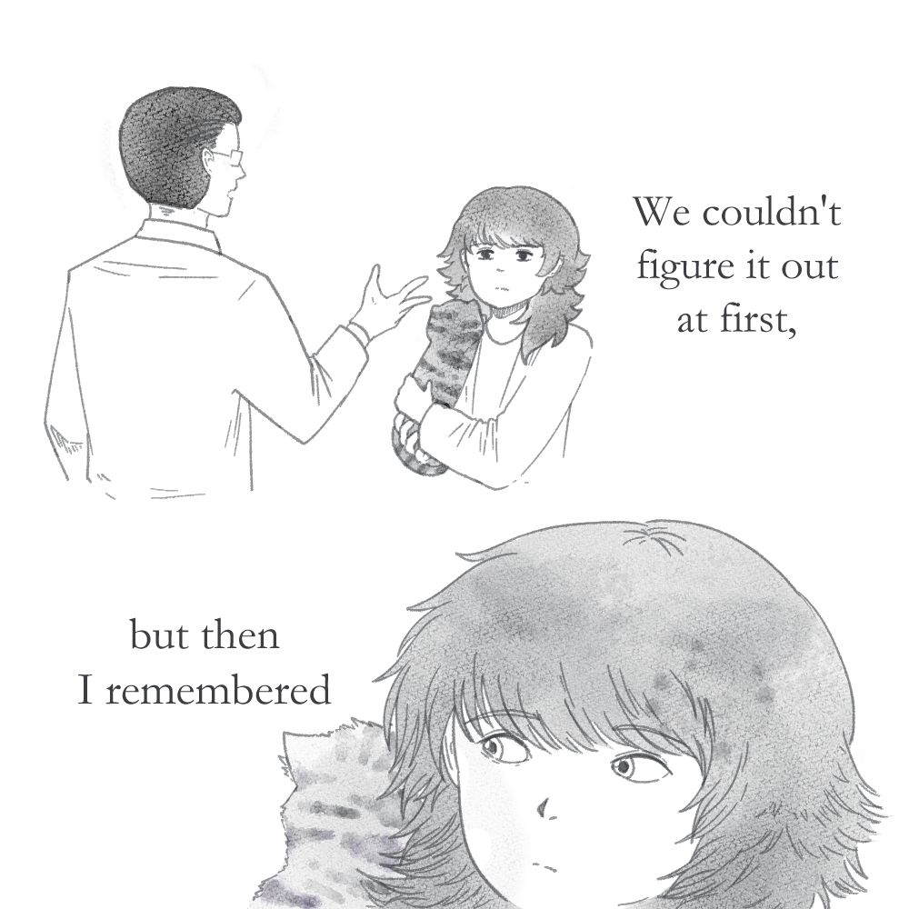 Image with two panels. First panel is of a dark-haired person cradling a cat and talking to a vet. Second panel zooms into the person as they glance at their cat. Narration says, "We couldn't figure it out at fiest, but then I remembered"