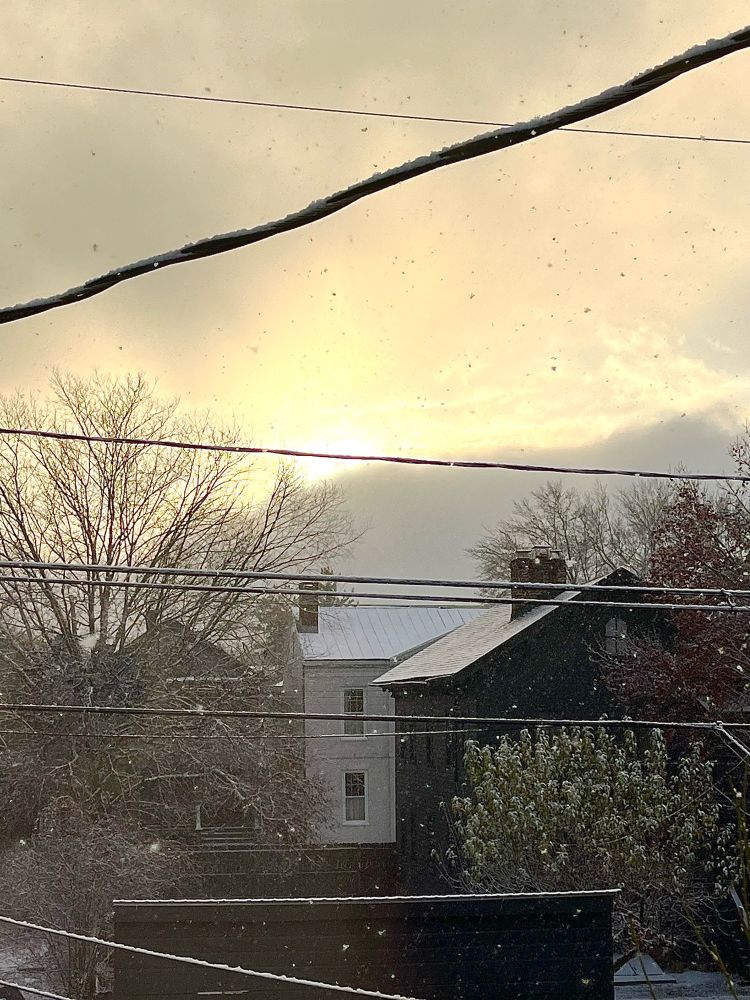 Photo out my window of the houses in the alley. It’s lightly snowing. Behind the horizontal phone lines, the tops of the roofs are white with snow, the sun sneaking through the cloudy sky.