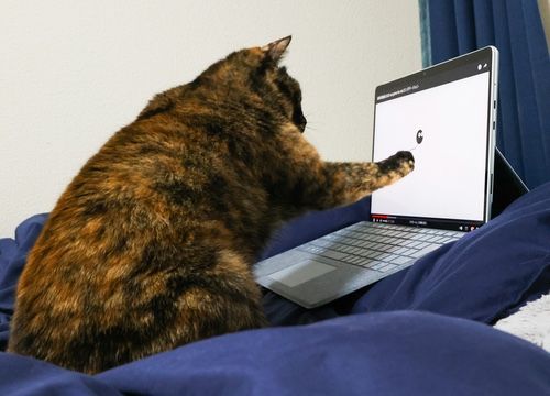 Attached image