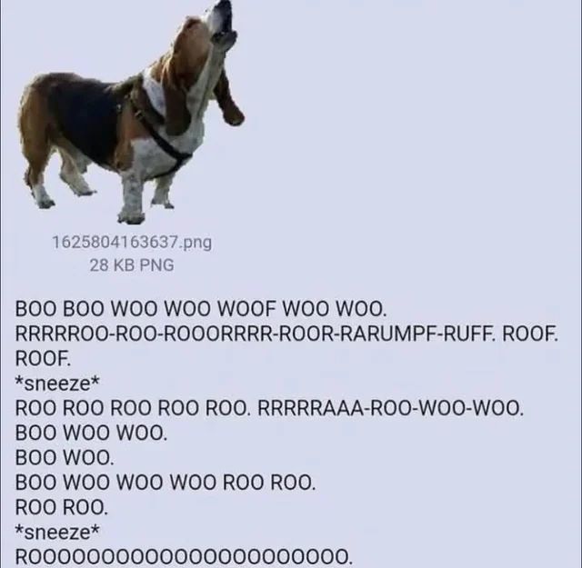 a PNG of a beagle barking, with a block of text made up entirely of ceaseless barks, roo-roo-roos, and occasional sneezes