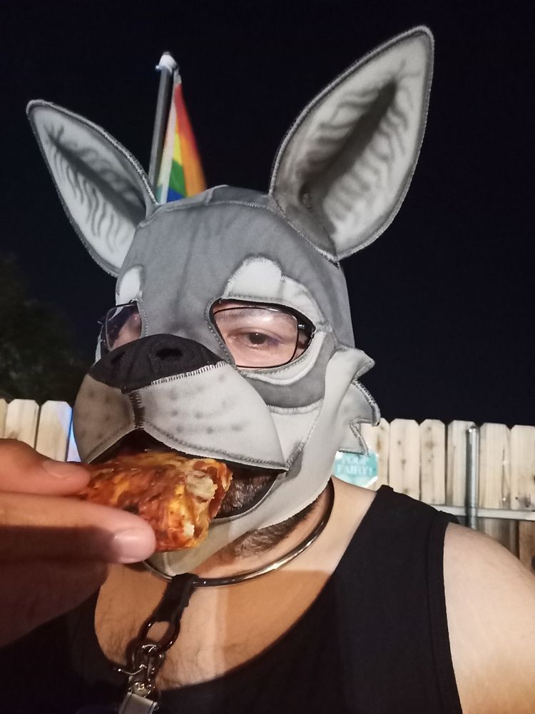 Me eating a slice of pizza

(Yes, I'm cursed and have only the one joke I guess.)