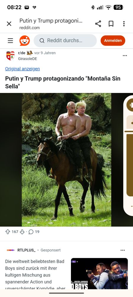 Putin und Trump auf einem Hannoveranerwallach namens  Gerd 