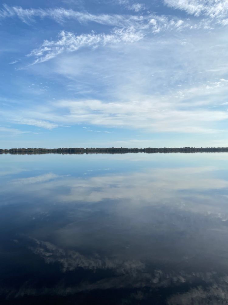 Image of Blue Cypress Lake from vantage of an airboat. The water is very still and shows the reflection of the clouds. The tree line along the edge of the lake is visible in the distance. 