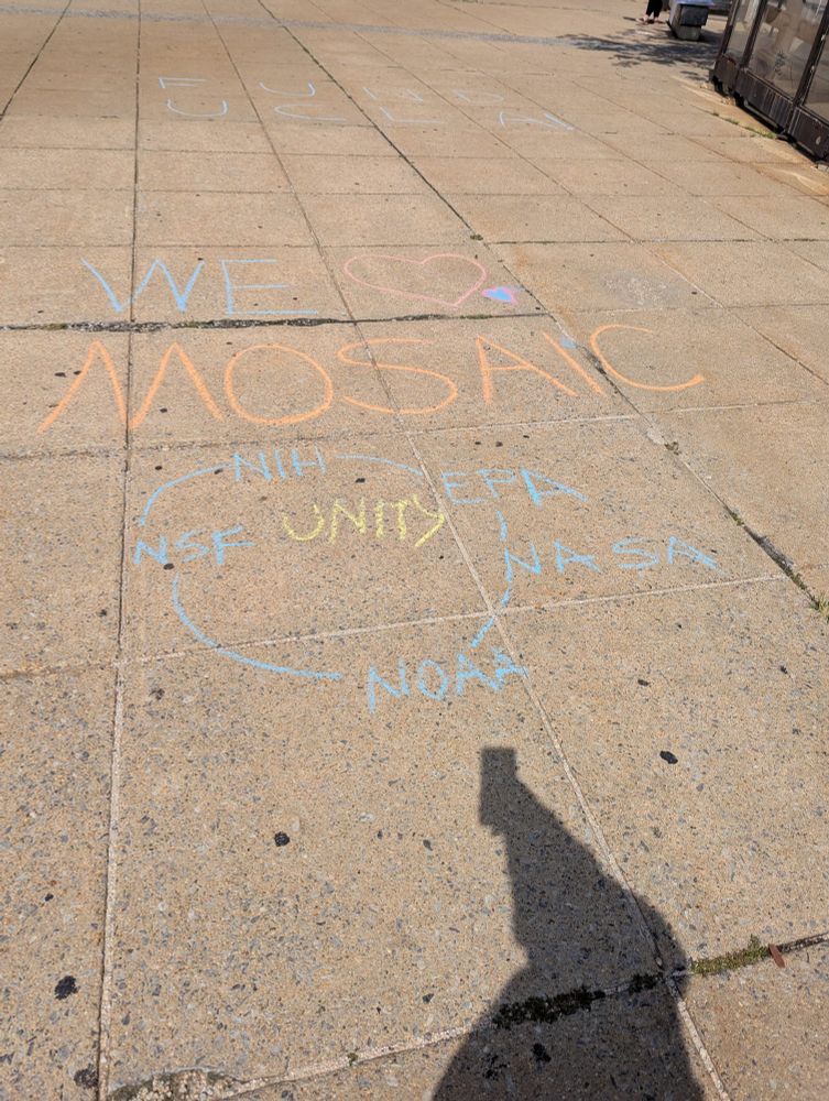 Chalk art, NIH MOSAIC program.