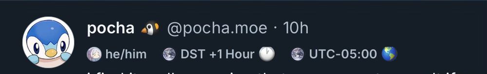 A screenshot of my profile as seen on a post, with 3 labels underneath: "he/him", "DST +1 Hour", and "UTC-05:00"