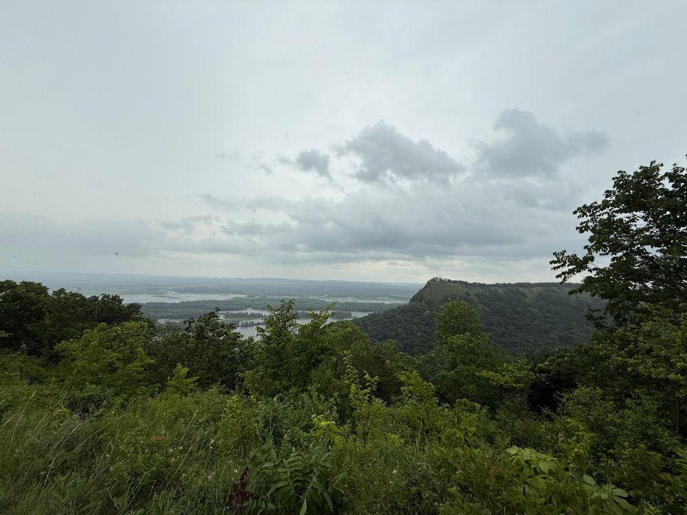 An overlook of greenery with the peak of a small bluff in the distance. Further out and far below you can see the Mississippi River. Gray puffy clouds cover a third of the sky.