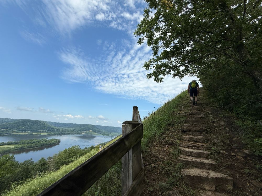 View of Mississippi River on the left with green islands and banks. A hiker ascends the slightly winding stone path on right.