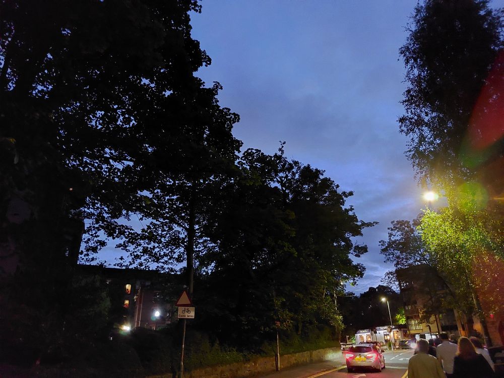 The gloaming sky through urban trees.