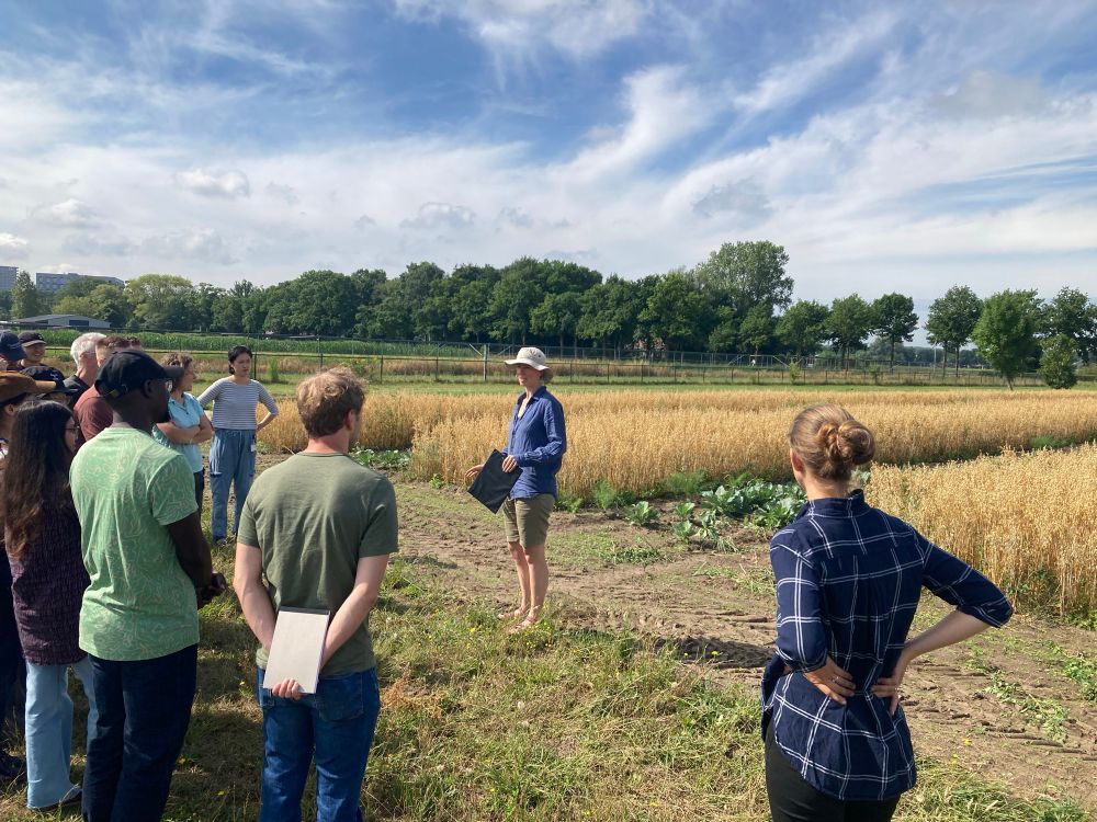 People standing in an intercropped field listening to a researcher 