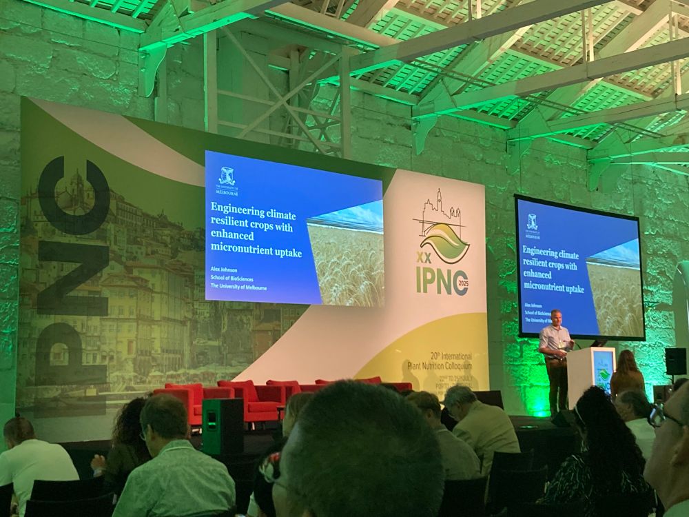 Prof Alex Johnson on stage in a conference hall, about to give a talk at the international plant nutrition colloquium. 