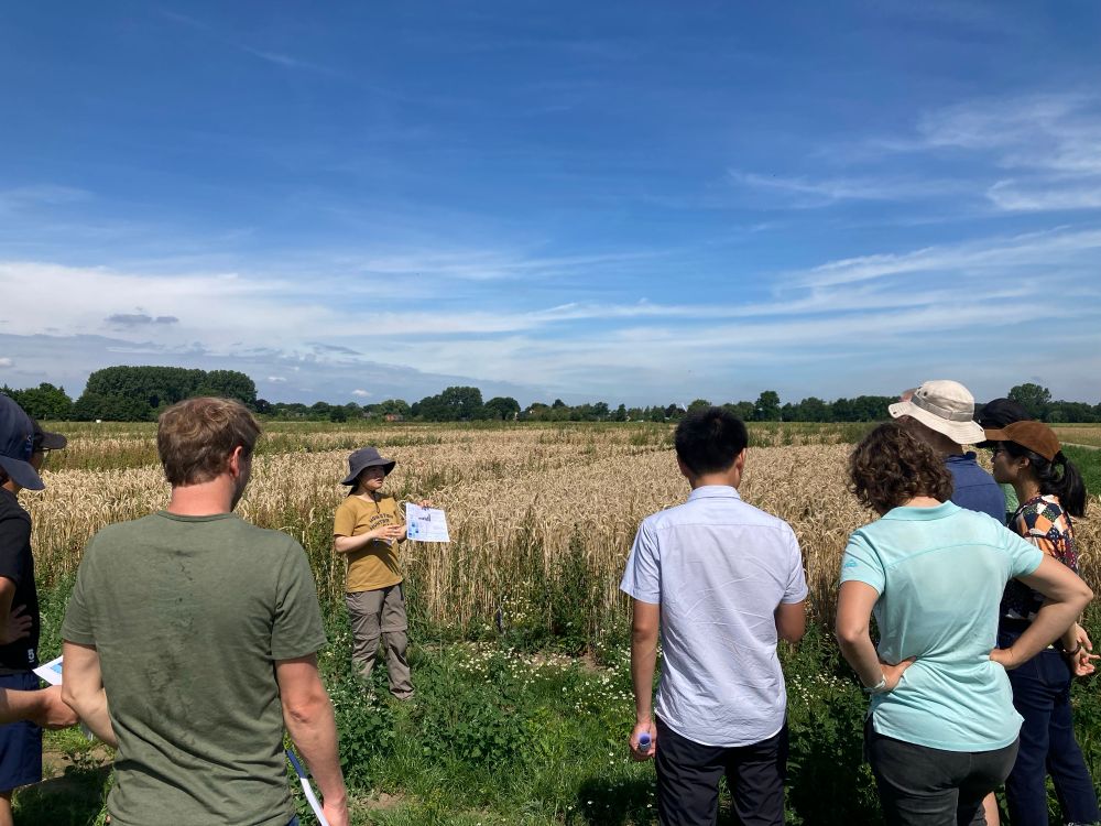 People standing in a cropping field listening to a researcher talk 