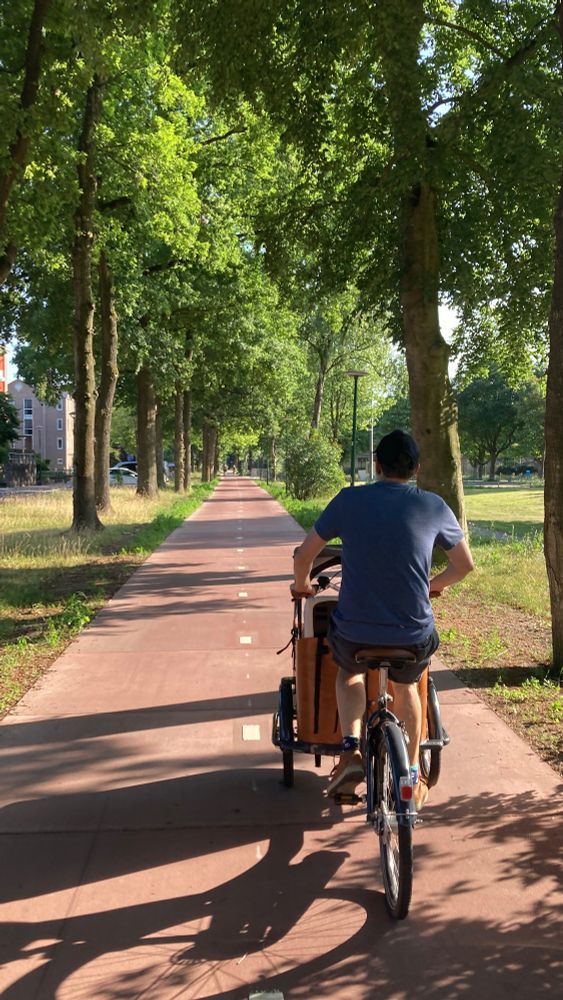 Man riding a Dutch cargo bike down a tree-lined bike path in the Netherlands. 