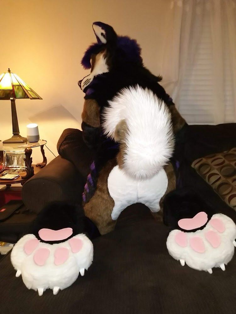 Unari Akita fursuit, rear view with curly tail raised and showing off the footpaws.