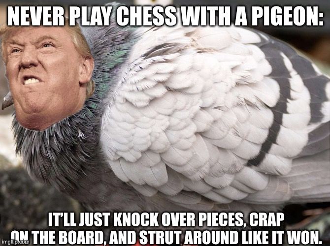 Comment image