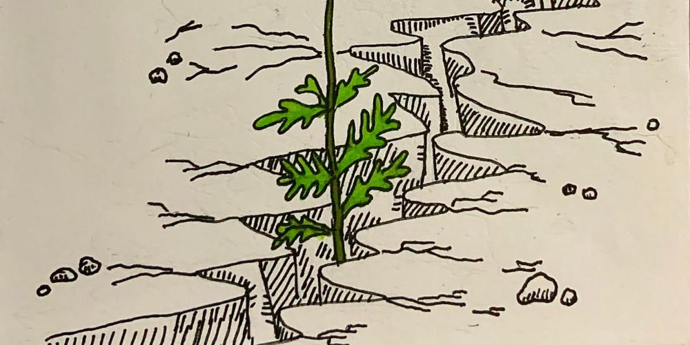 this is your introduction to the daisy chain revolution