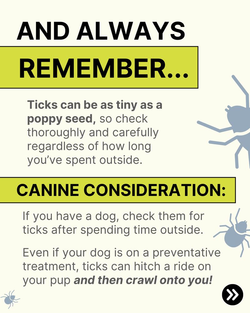AND ALWAYS REMEMBER... Ticks can be as tiny as a poppy seed, so check thoroughly and carefully regardless of how long you’ve spent outside. CANINE CONSIDERATION: If you have a dog, check them for ticks after spending time outside. Even if your dog is on a preventative treatment, ticks can hitch a ride on your pup and then crawl onto you!