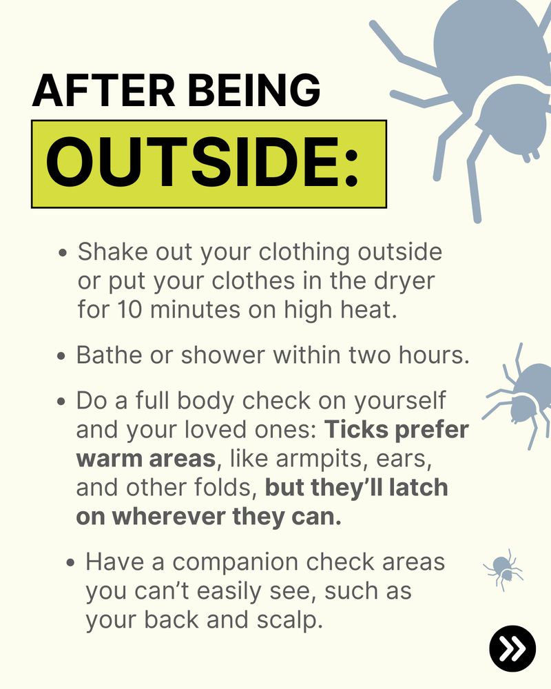 AFTER BEING OUTSIDE: Shake out your clothing outside or put your clothes in the dryer for 10 minutes on high heat. Bathe or shower within two hours. Do a full body check on yourself and your loved ones: Ticks prefer warm areas, like armpits, ears, and other folds, but they’ll latch on wherever they can. Have a companion check areas you can’t easily see, such as your back and scalp.