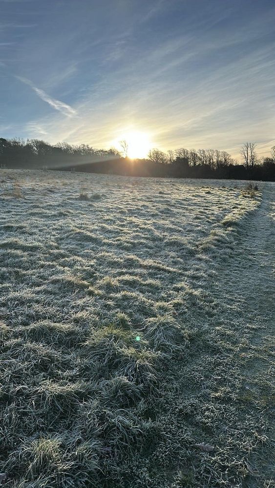 Frosty ground & sunrise
