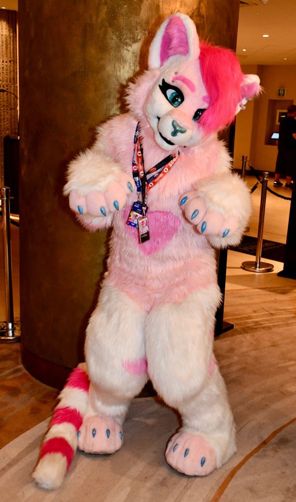 A pink & white cat fursuit with a heart motif on their belly. They are posing in a hotel lobby.