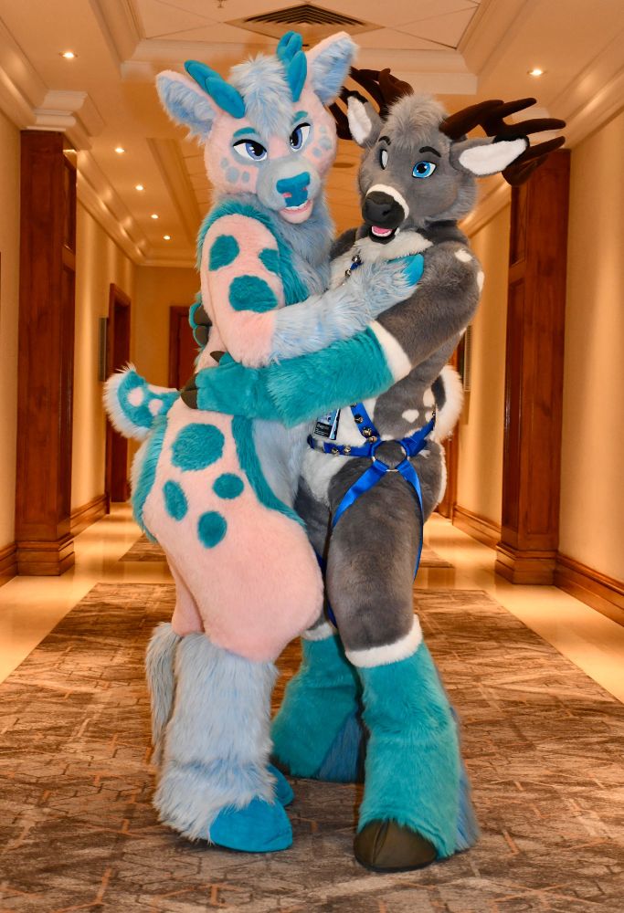 Two deer fursuits posing in the middle of a hotel hallway. One is pink and blue, the other grey and blue.