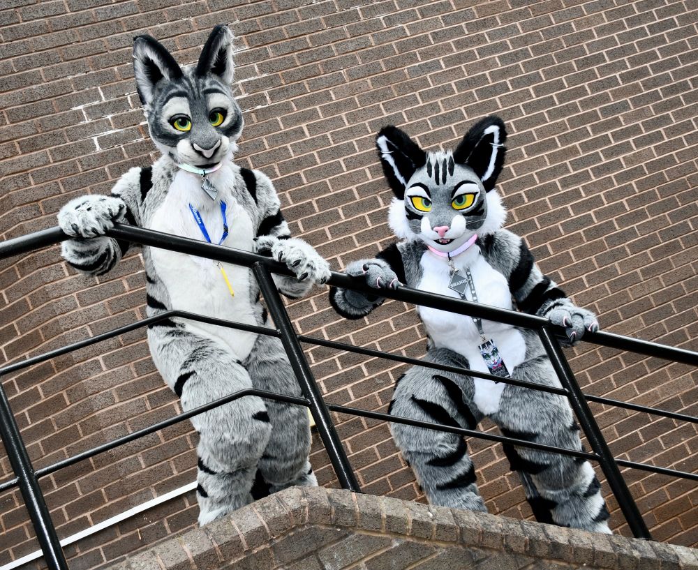 Two very similar tabby cat fursuits posing on some stairs with a red brick wall behind them.