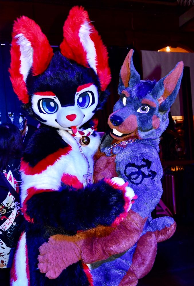 A red, black, & red canine fursuit dancing with a muscular grey doberman fursuit in a darkened nightclub environment. 