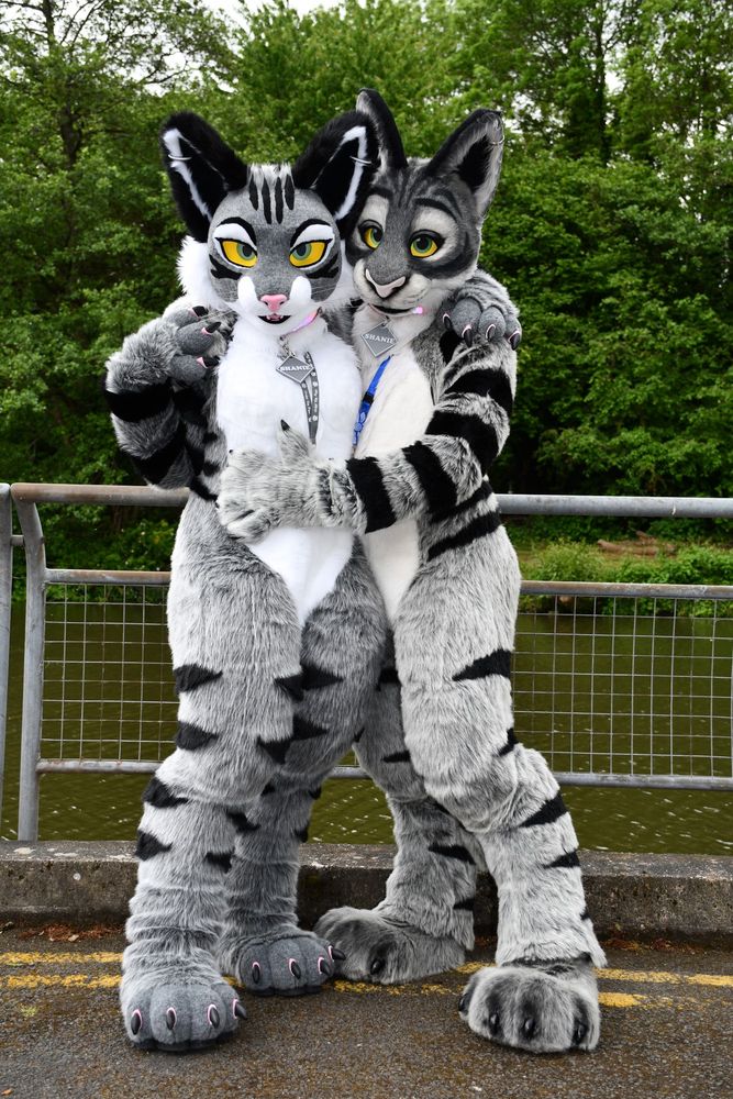 Two very similar tabby cat fursuits standing together by a railing overlooking a lake. There are trees in the background.