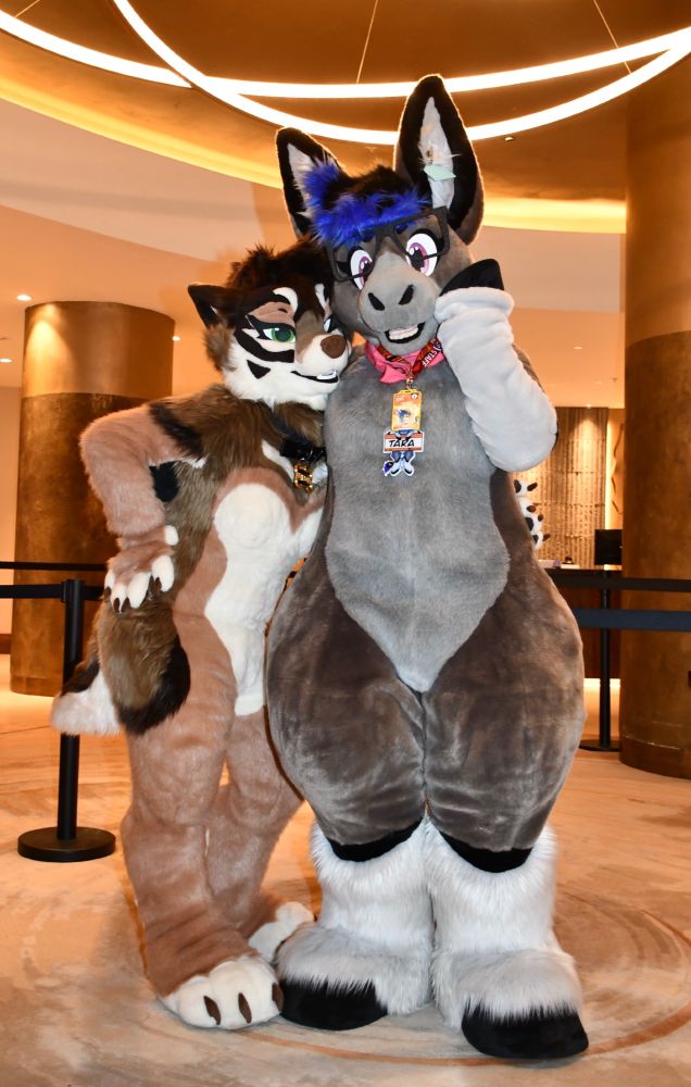 A brown wolf fursuit posing next to a grey donkey fursuit under some lights in a hotel lobby.