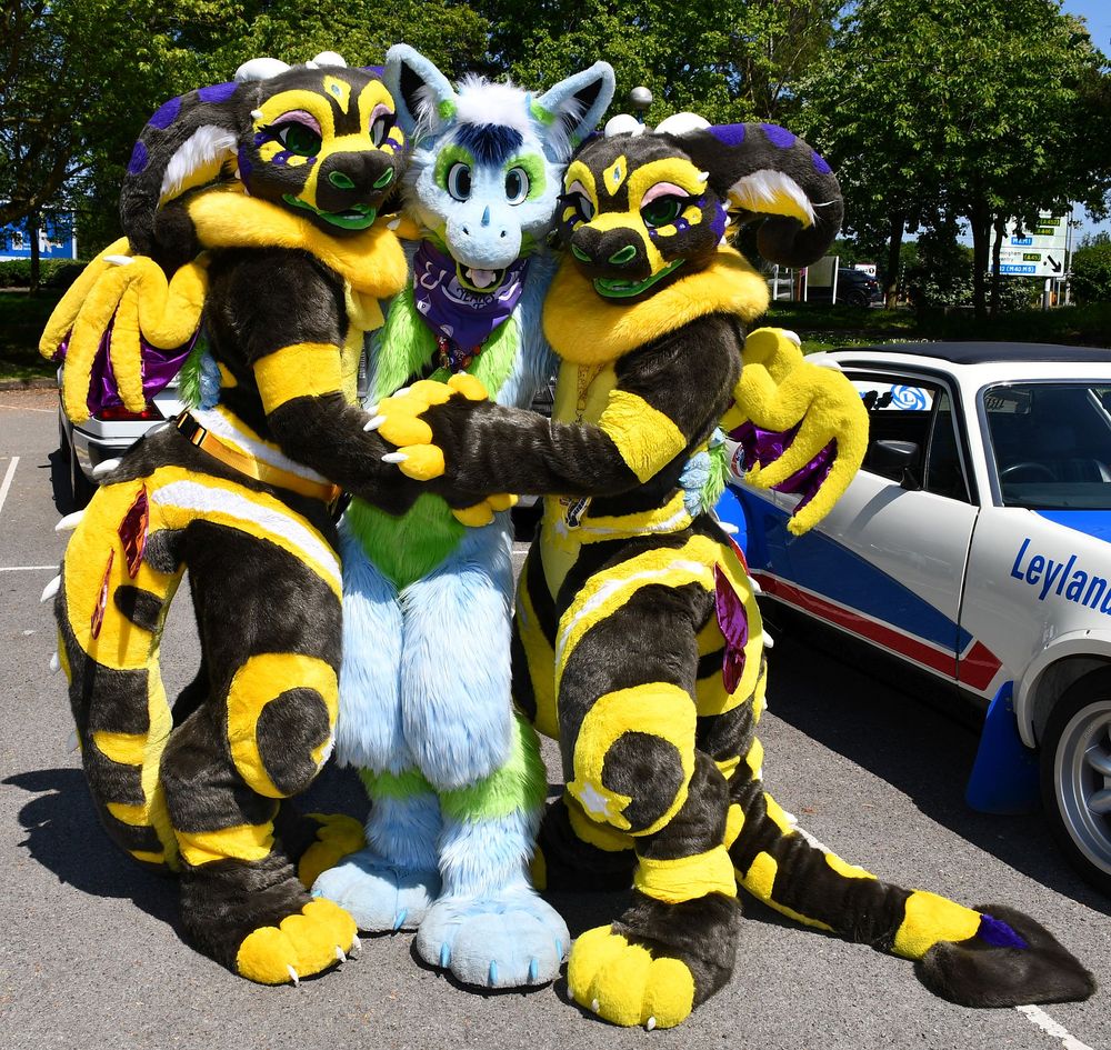 Two identical yellow & black dragon fursuits with a blue & green dragon fursuit sandwiched between them. They are in a car park with a car to one side and trees in the background.