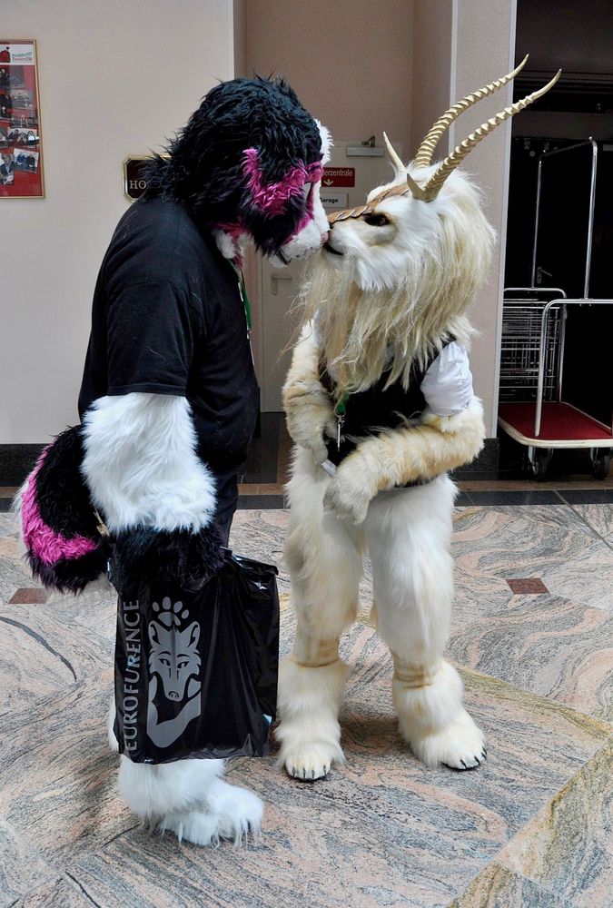 Two fursuiters tipping noses. They are in a hotel lobby.