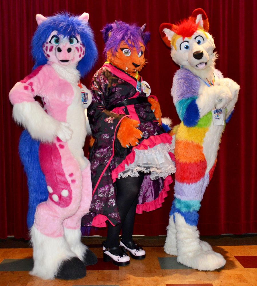 A pink horse fursuit with a blue mane & tail, a horned tiger fursuit wearing an Asian style dress, & a multicoloured husky fursuit. They are standing in front of a red curtain. 