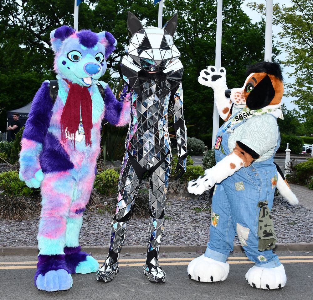 A purple and pink dog fursuit, a basset hound fursuit wearing dungarees, and a shiny mirrored fox costume. 