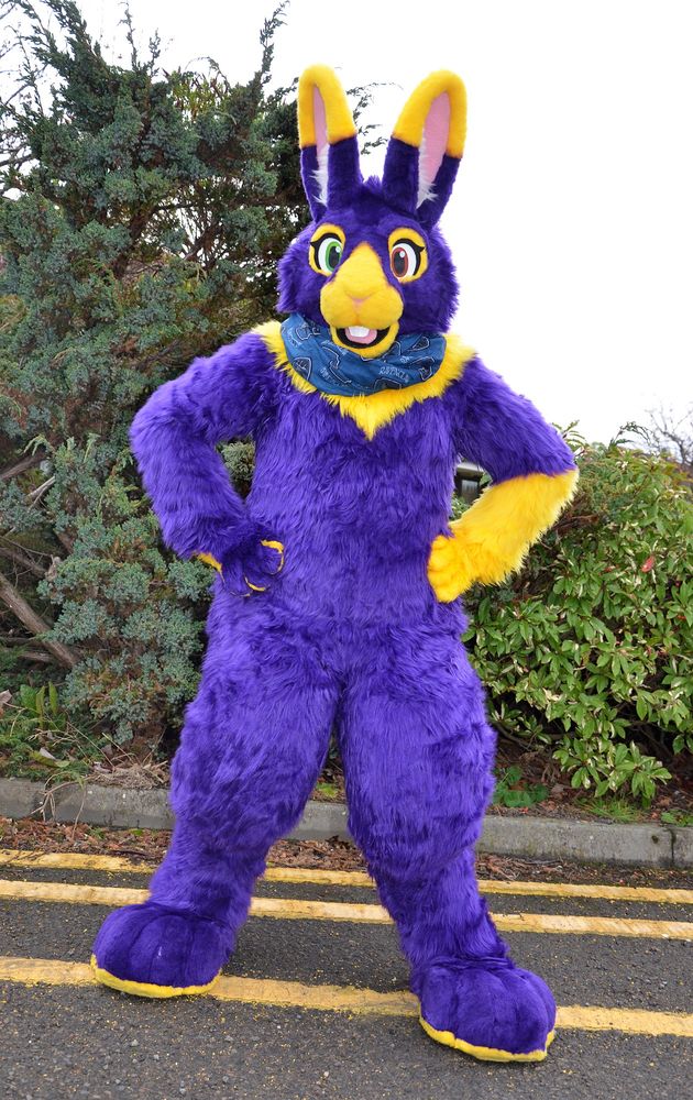 A purple and yellow bunny fursuit posing in front of some hedges.