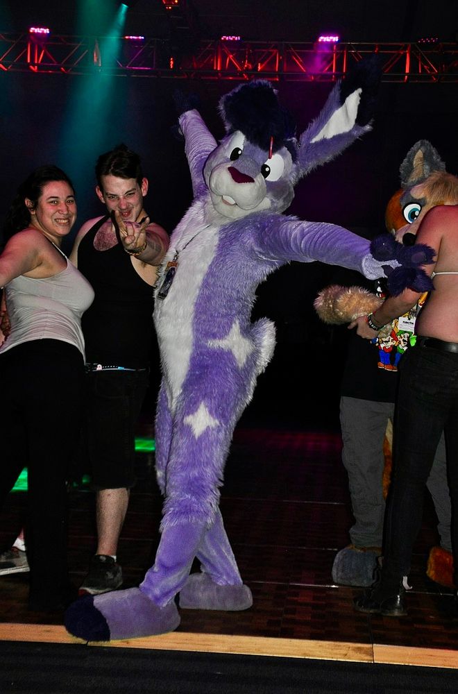 A purple bunny fursuit with a star pattern in his fur on a dancefloor.