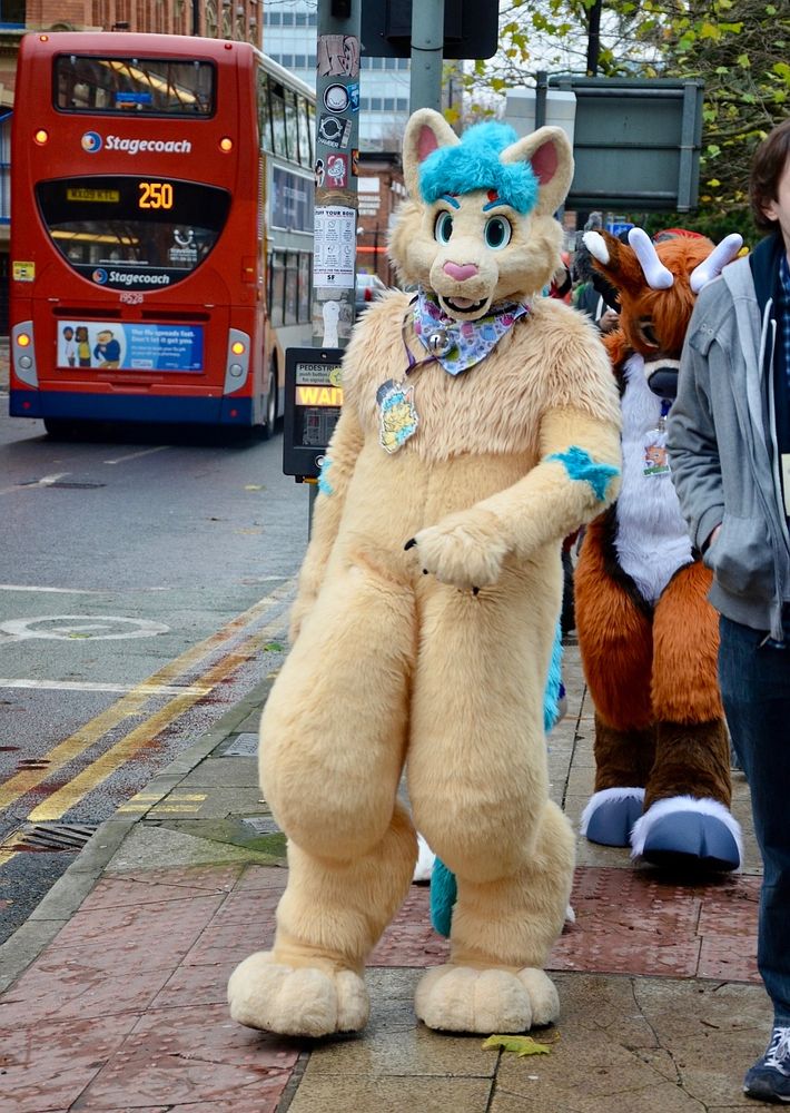 A sandy brown fursuit with blue hair walking along a Manchester street. There is a double decker bus to the left.