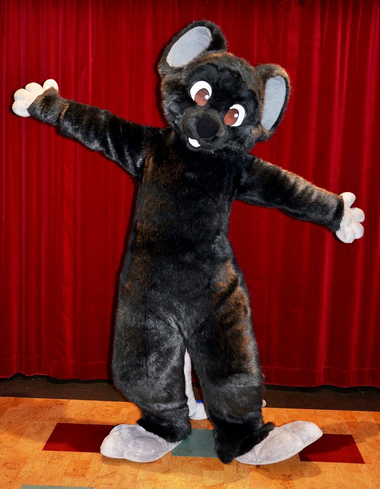 A black mouse fursuit with large grey ears posing in front of a red curtain