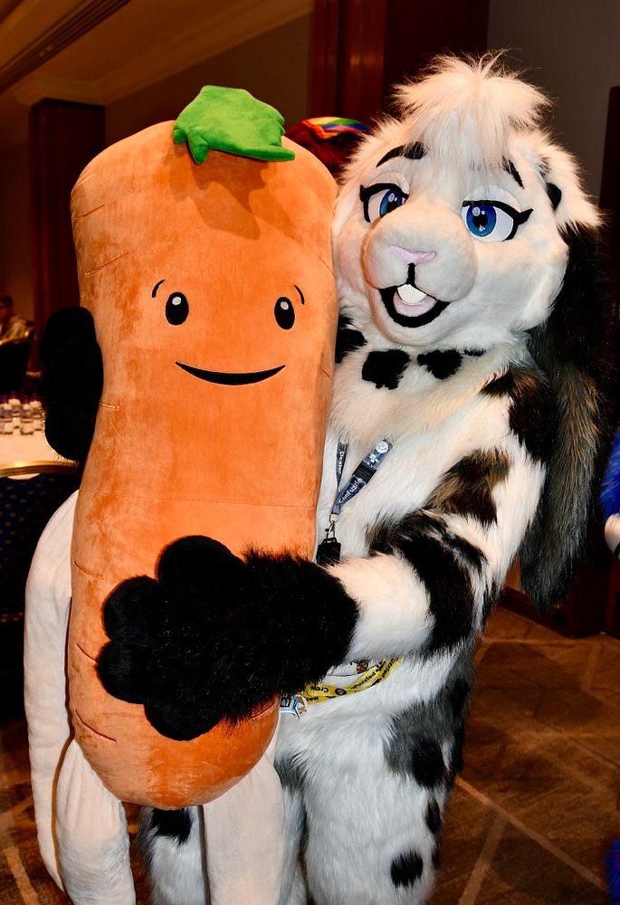 A white and black bunny fursuit holding a giant Kevin the carrot plush.
