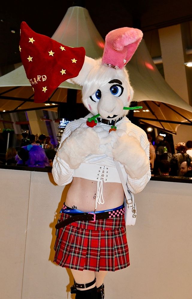 A white bunny fursuit with a plush rose held in their mouth wearing a white crop top and red tartan skirt.
